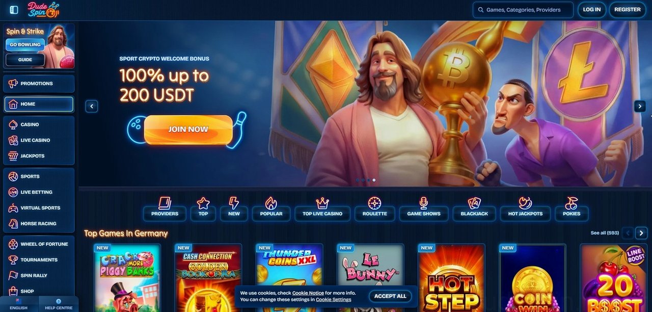 Dudespin Casino Casino